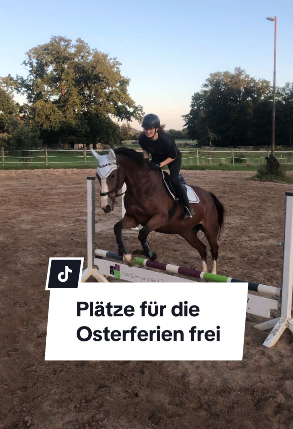 @reiterhofalteheld