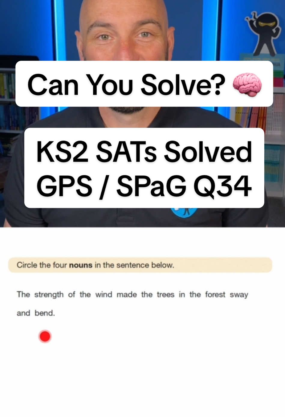 @Vocabulary Ninja