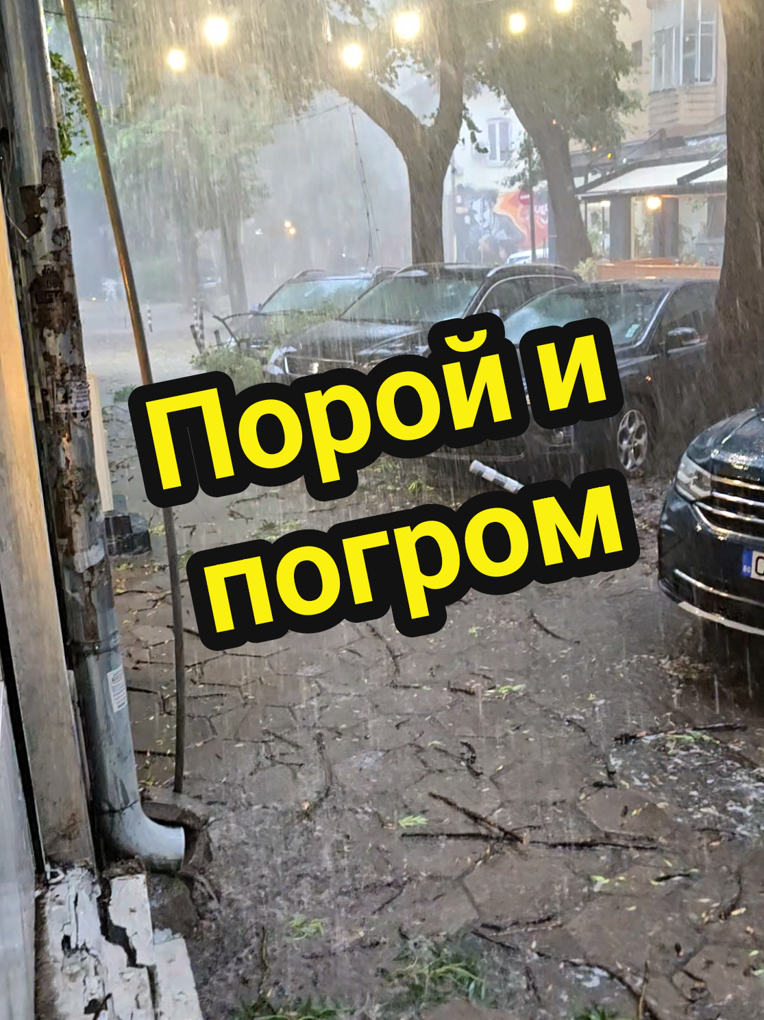 @💡Емил Тошев💡
