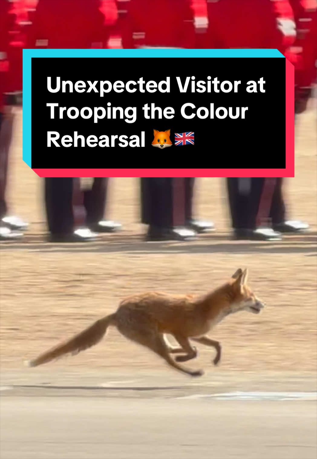 @King&rsquo;s Guard Tours