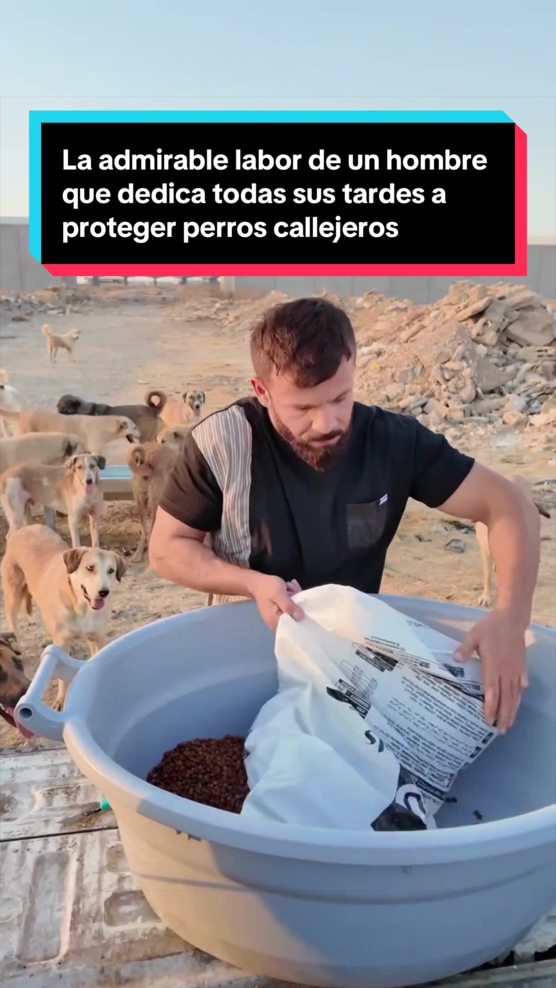 @EL ESPAÑOL 🦁
