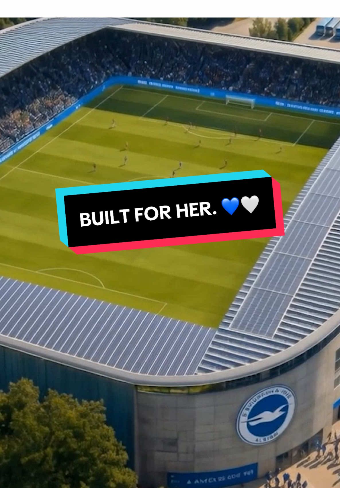 @Brighton & Hove Albion FC