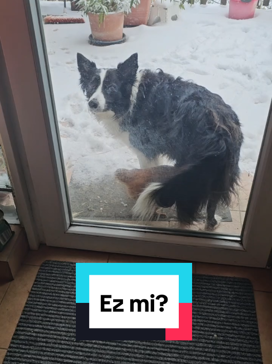 @Akt&iacute;van kuty&aacute;val