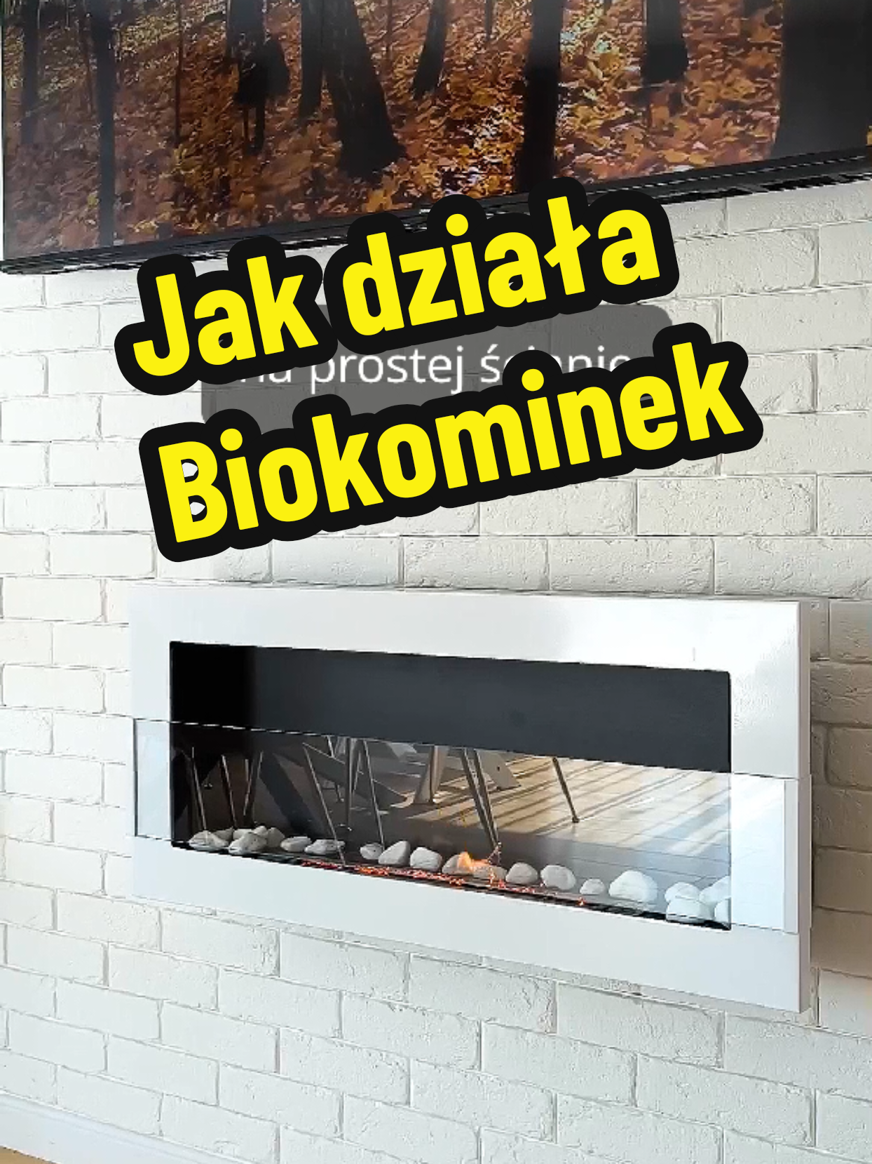 @BiokominkiGMT