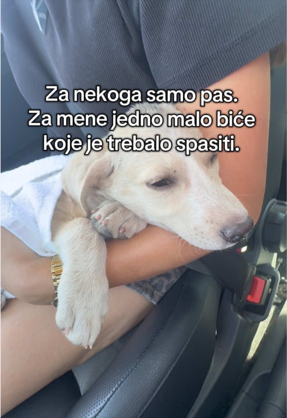 @๐๐ธ๐๐๐ ๐๐๐๐๐๐
