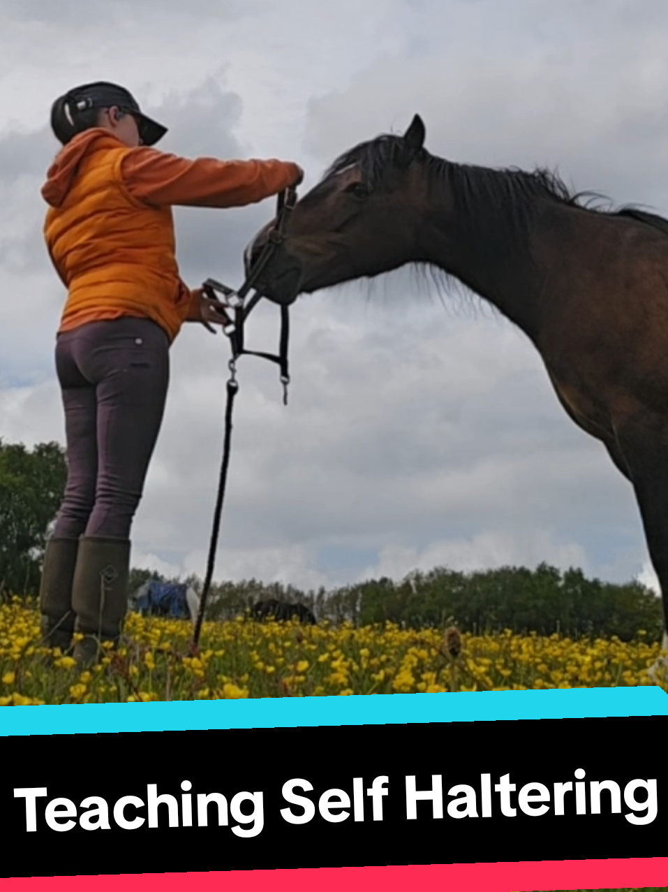 @Caitlin Padgett- Para Rider