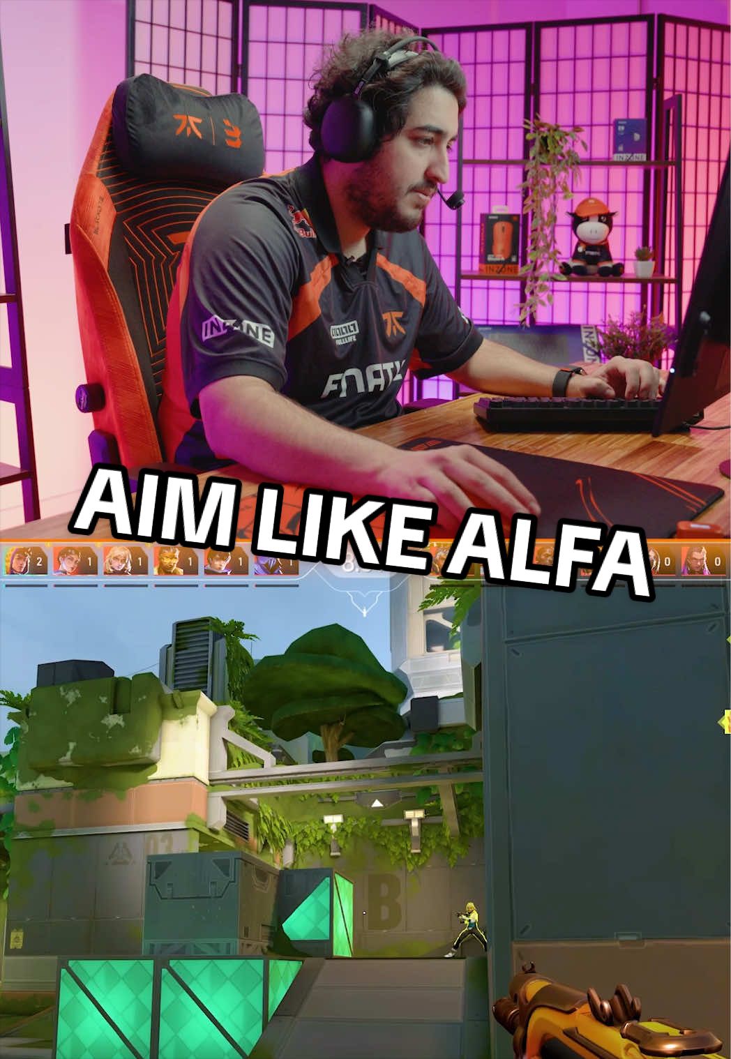 @FNATIC