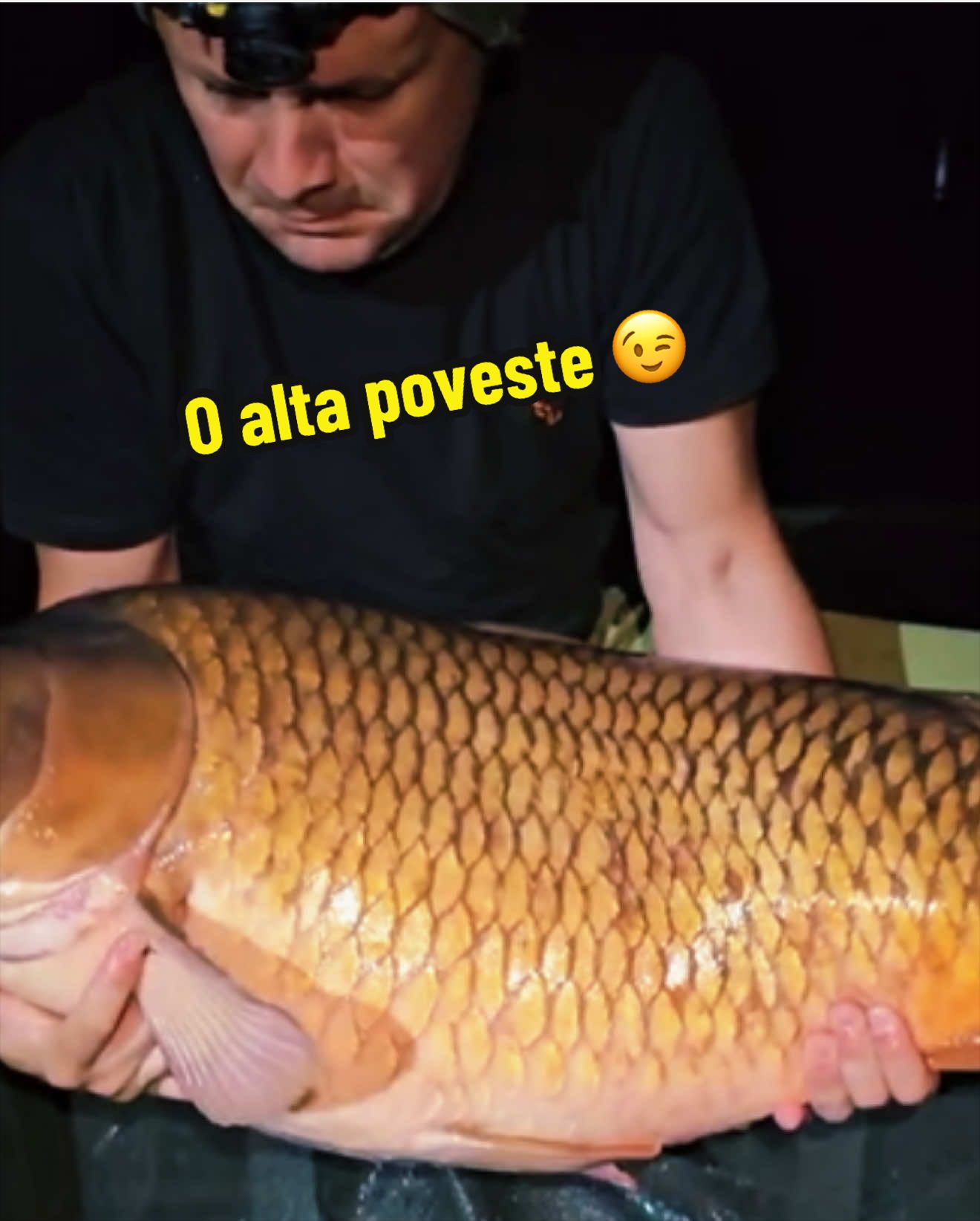 @Marius Velcu