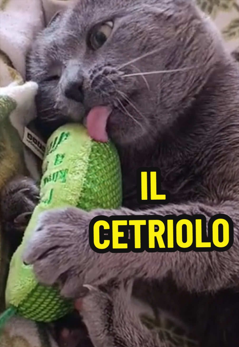@HelnaSigns
