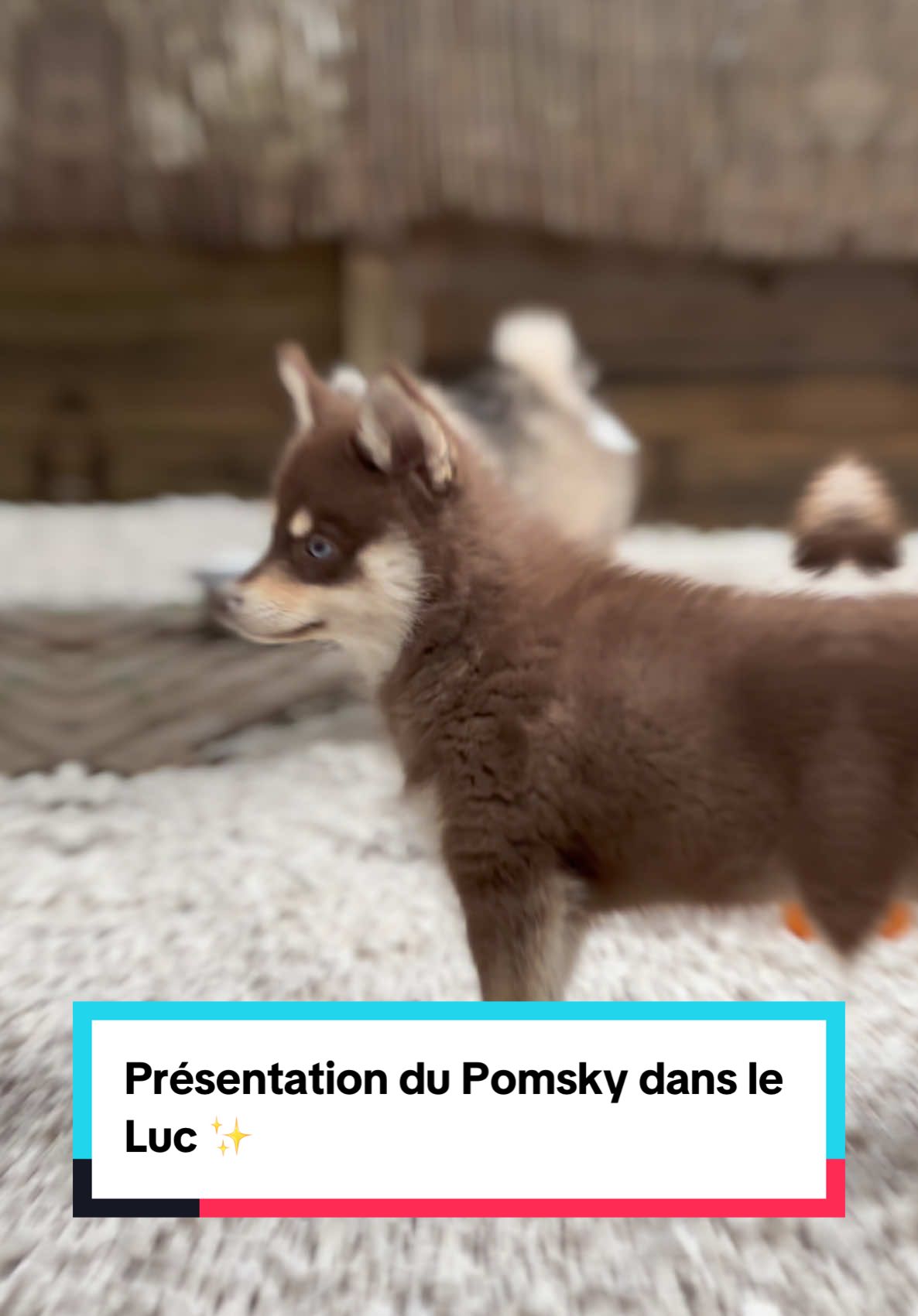 @MCO & POMSKY