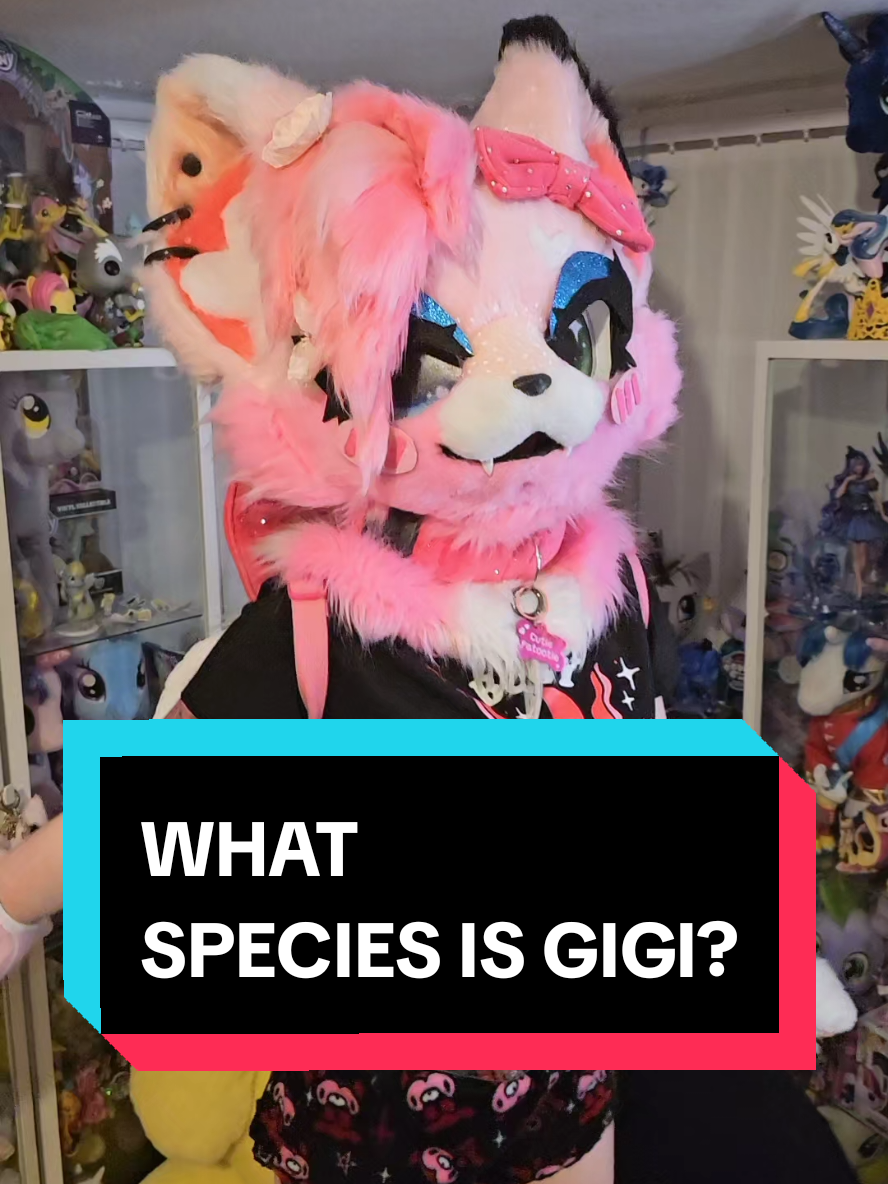 @Gigi 🔜 Paws up summer party