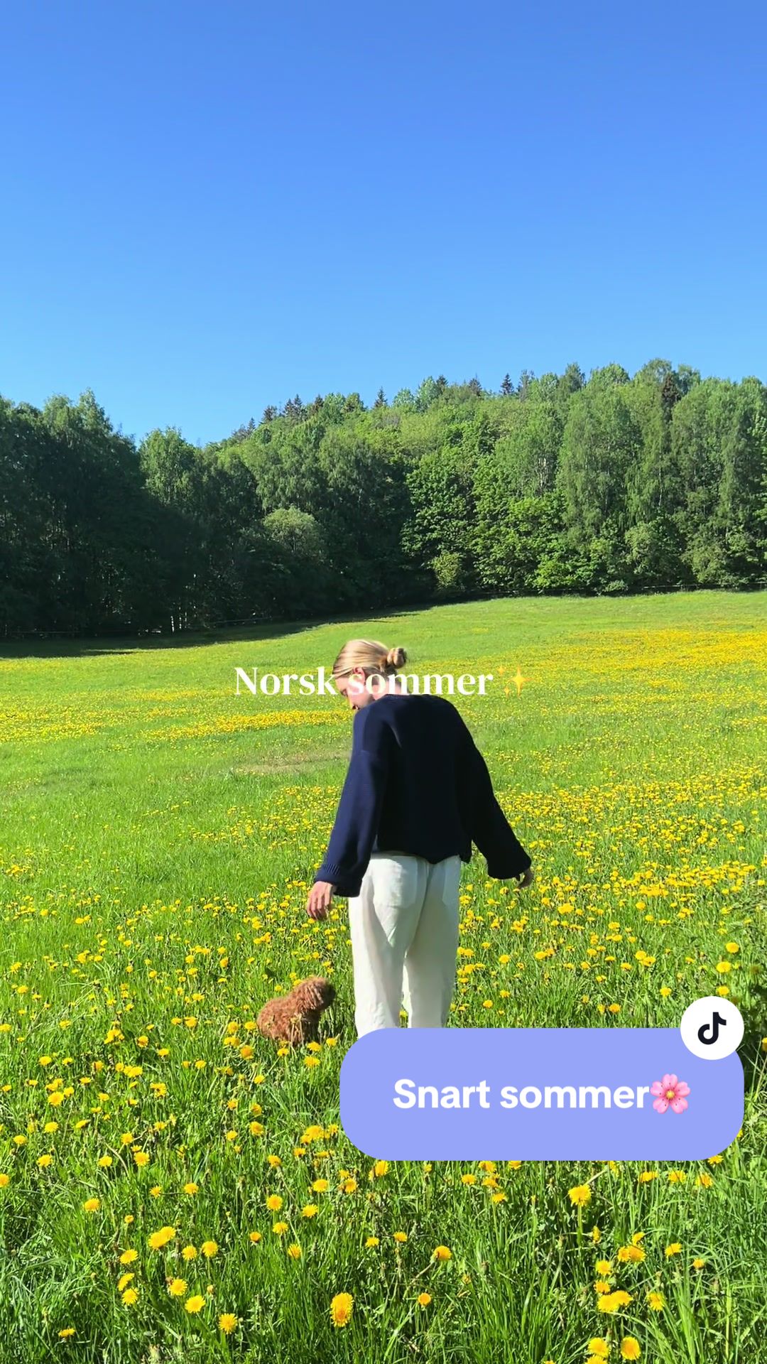 @S&oslash;ster Swim