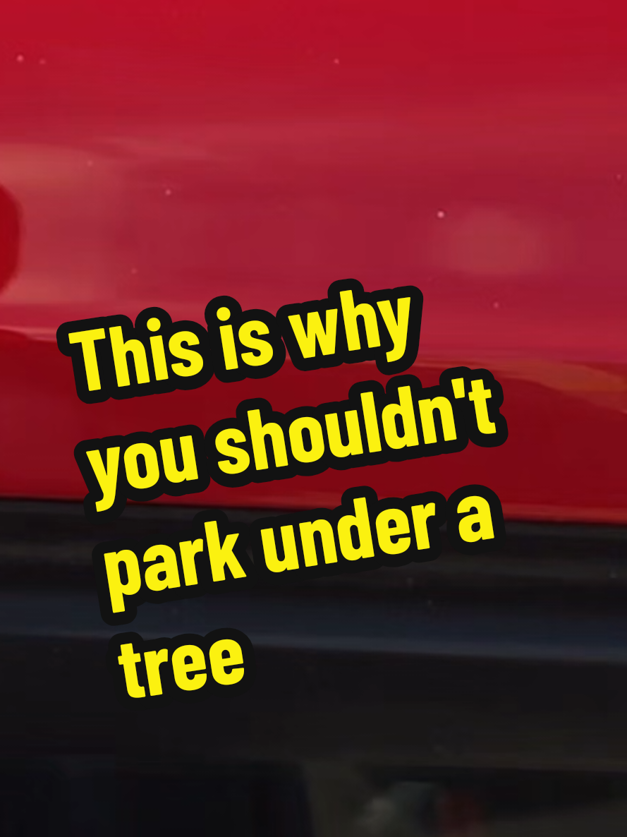 @Tony TwoTimes