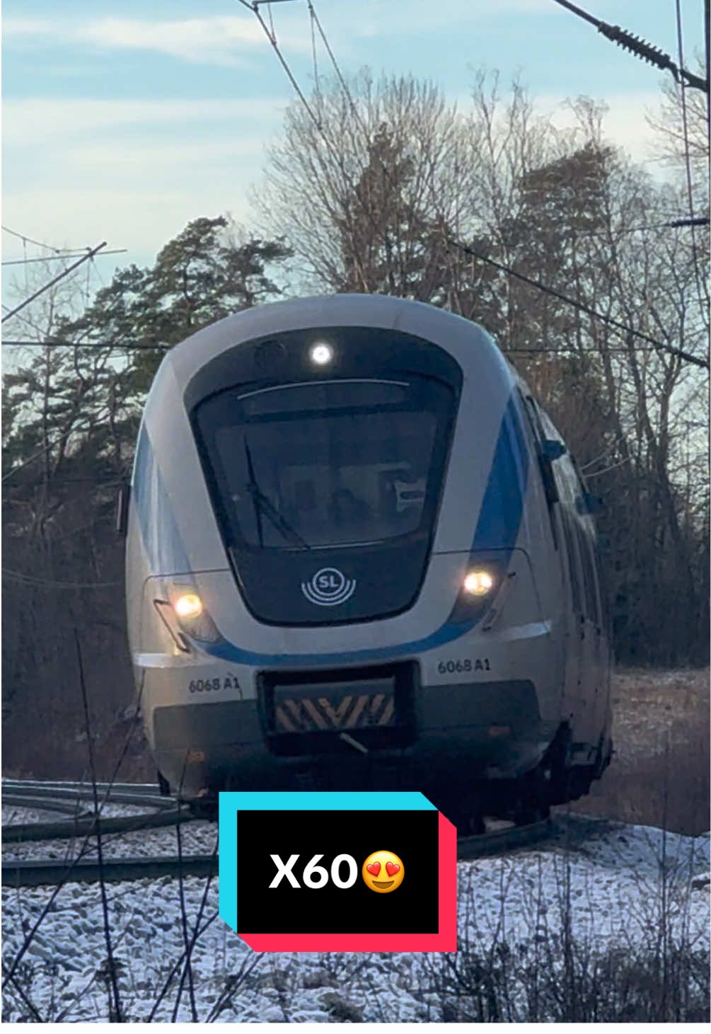 @đžThe Swedish Trainspotterđž