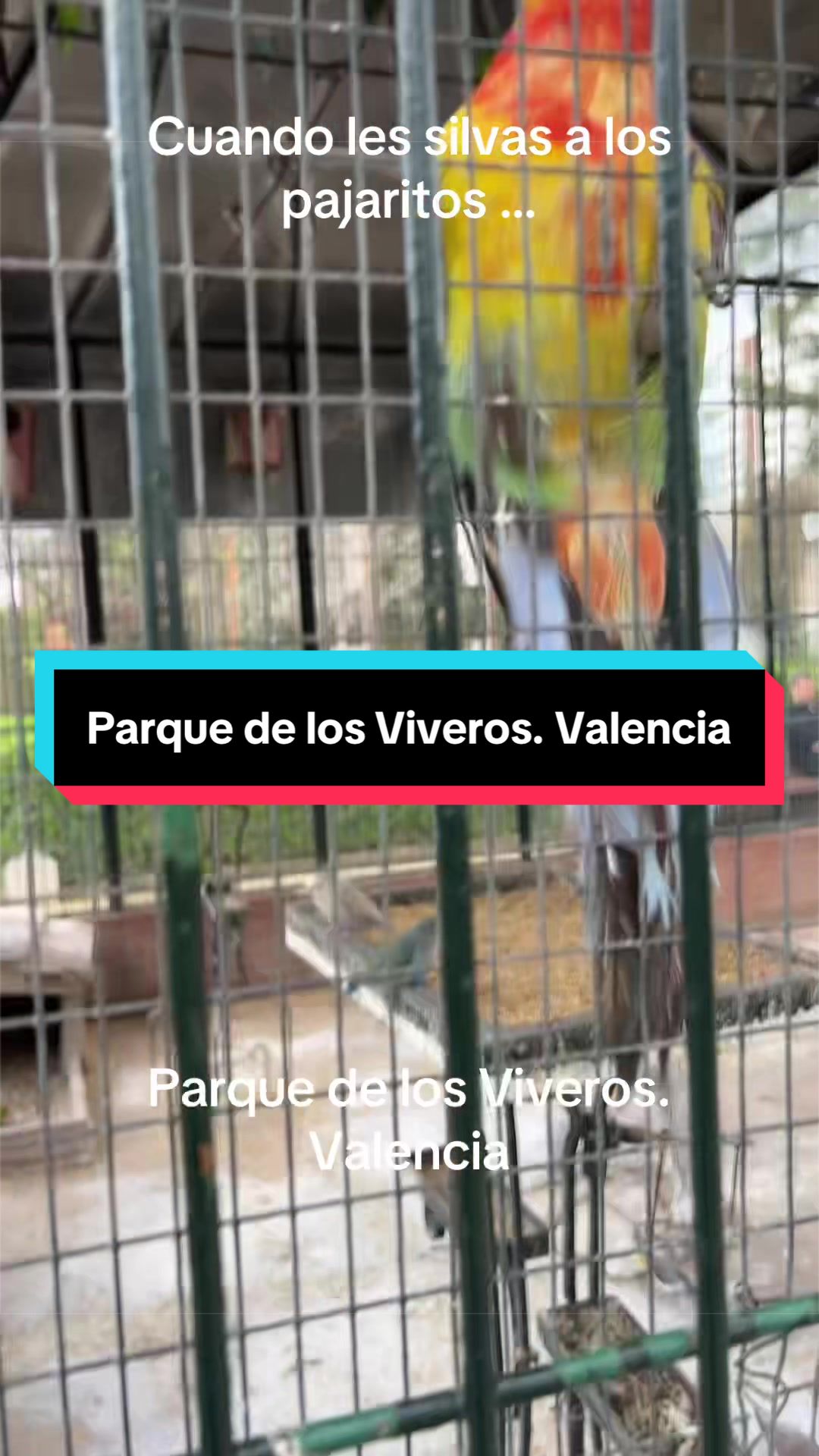 @Rafa Vilalta Rueda