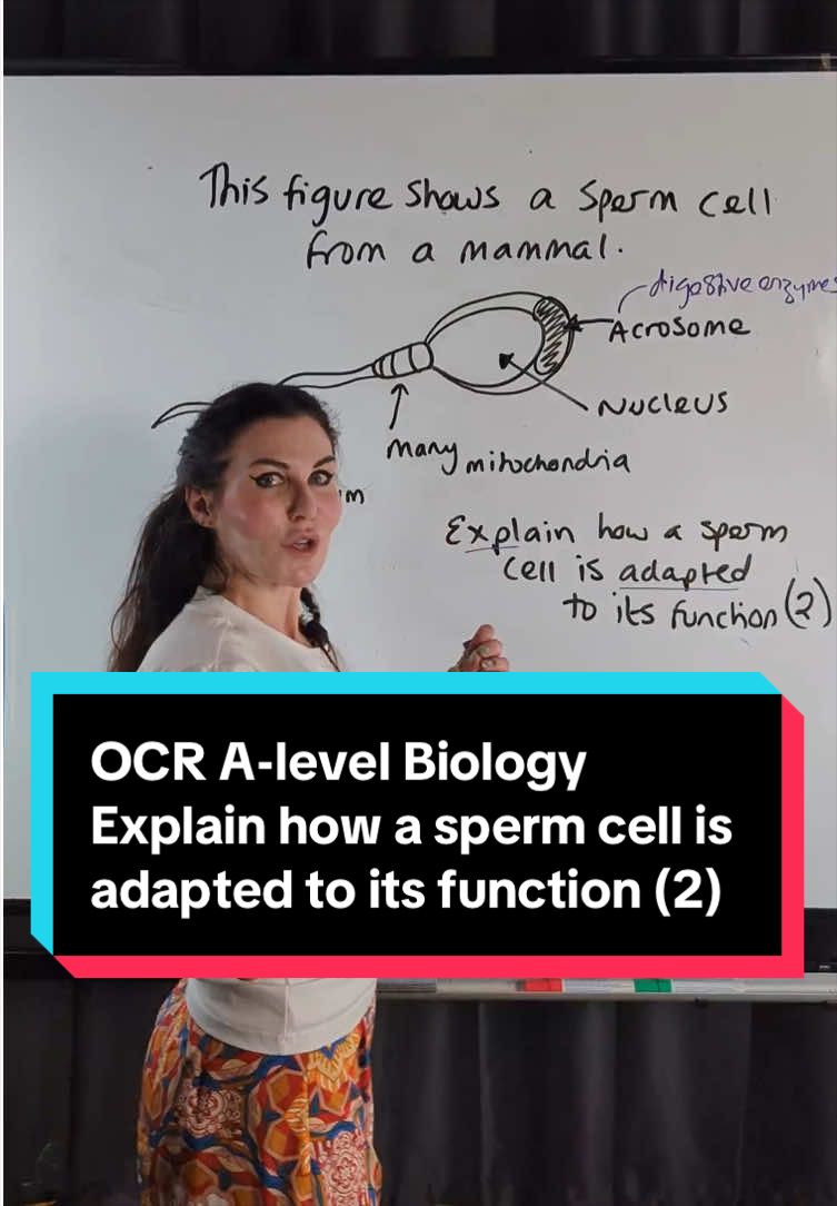 @MyEdSpace Biology