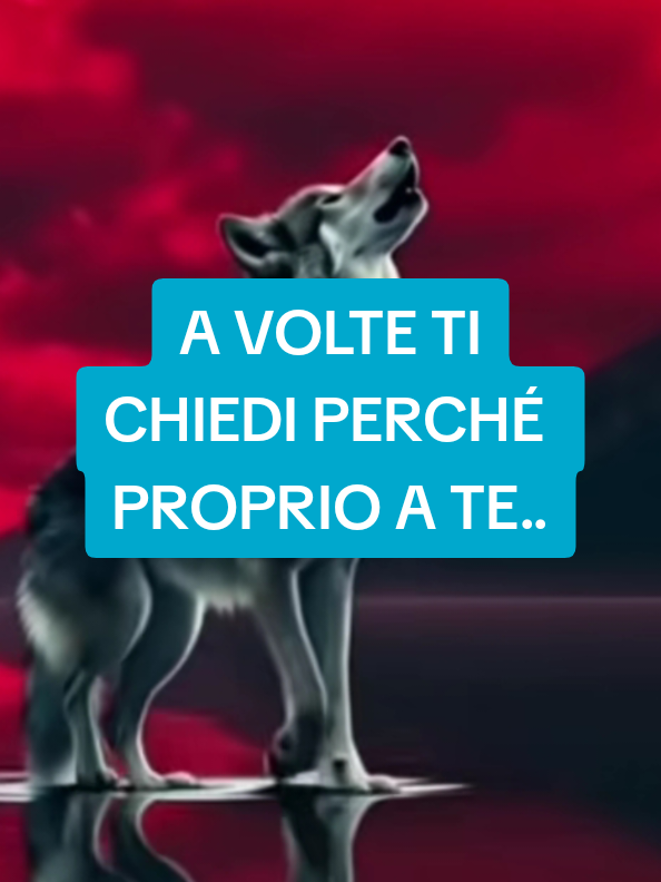 @ALESSANDRO_IL_ROMANO