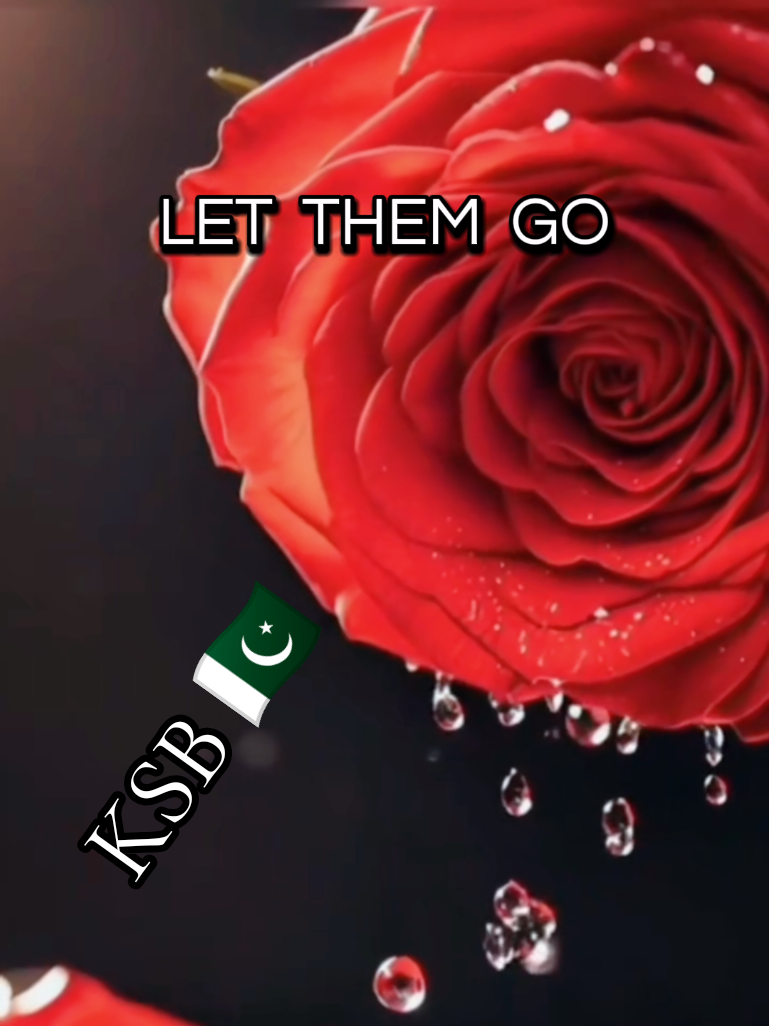 @KSB 🇵🇰