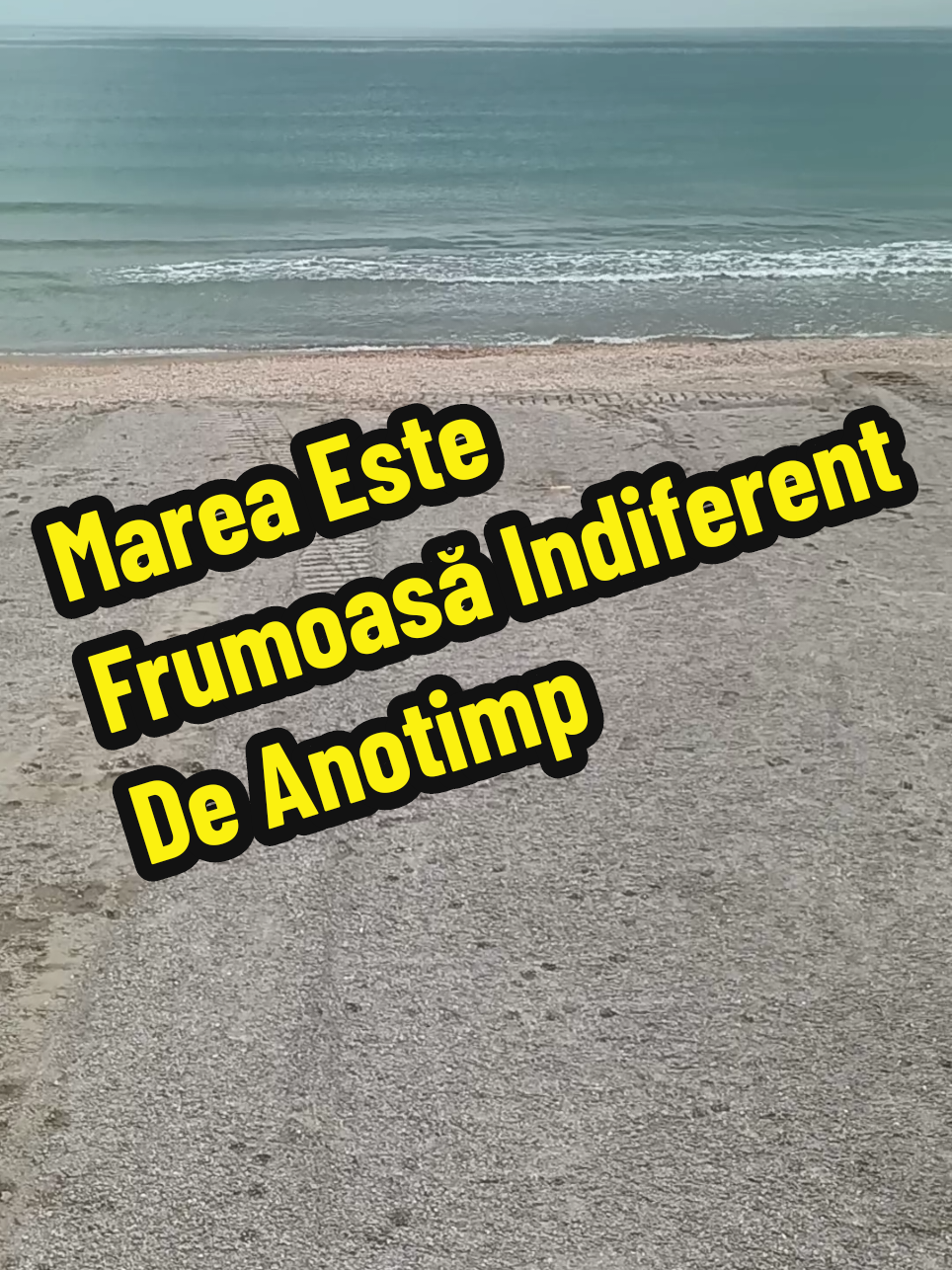@👉 Băiatul De La Mare 🌊