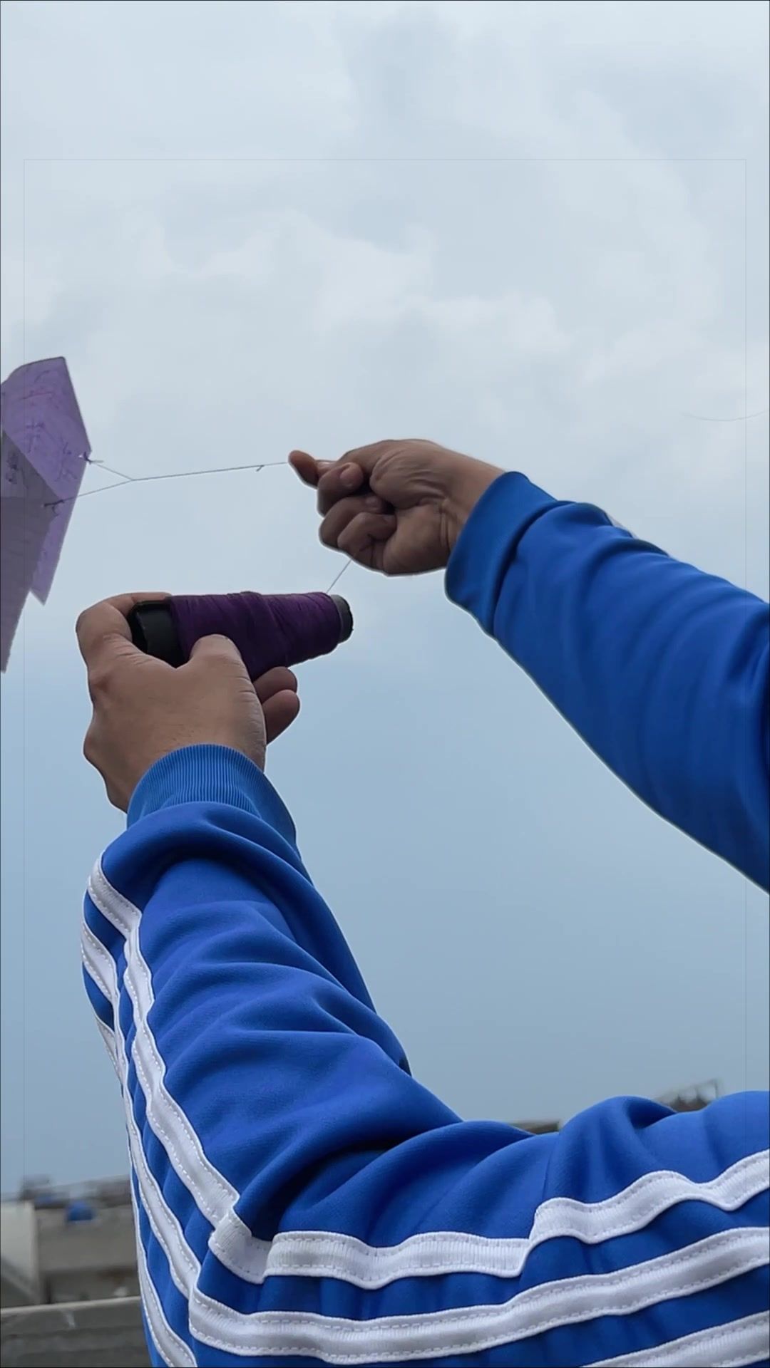 @Tarzan Kites
