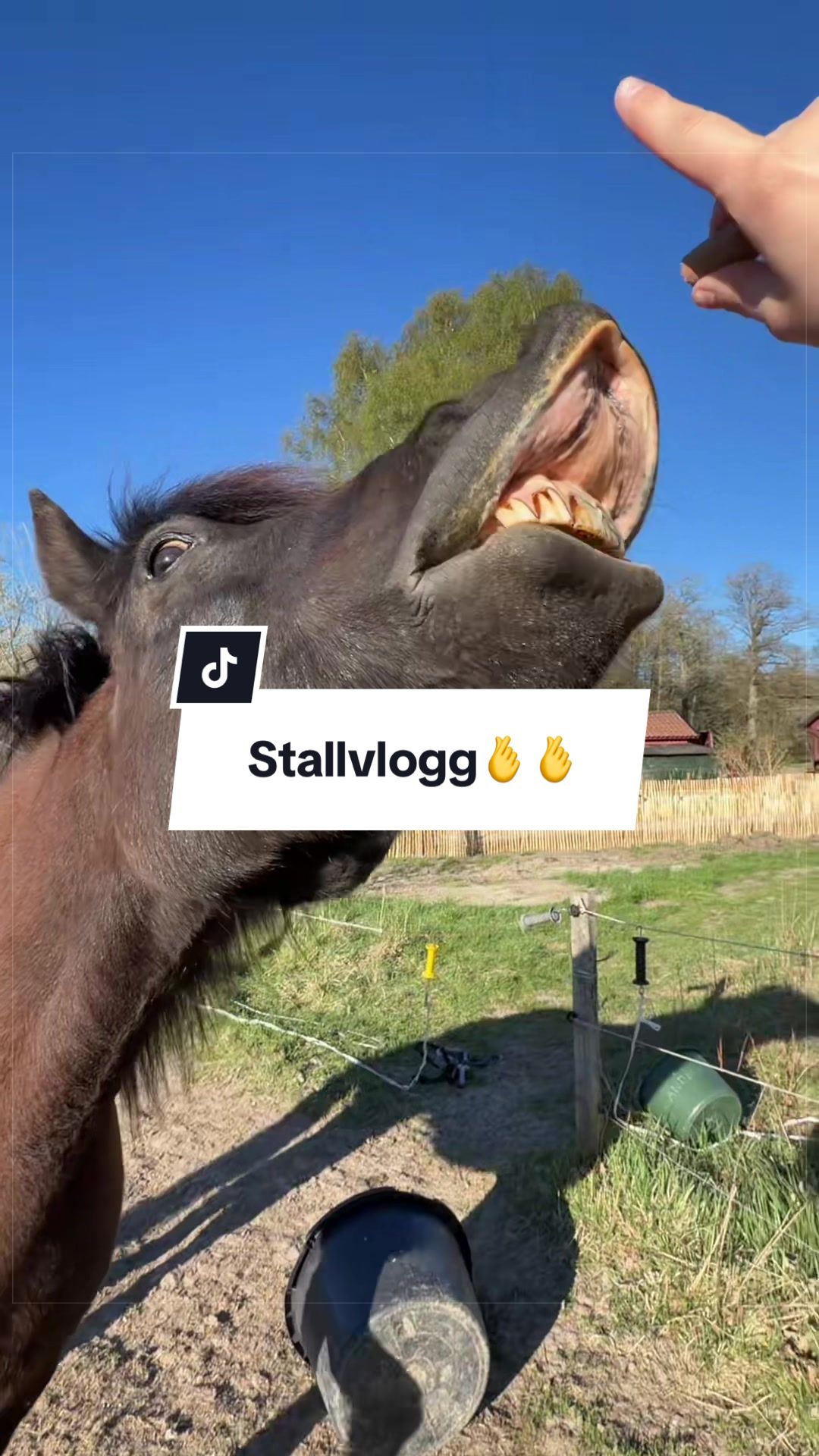 @Linn