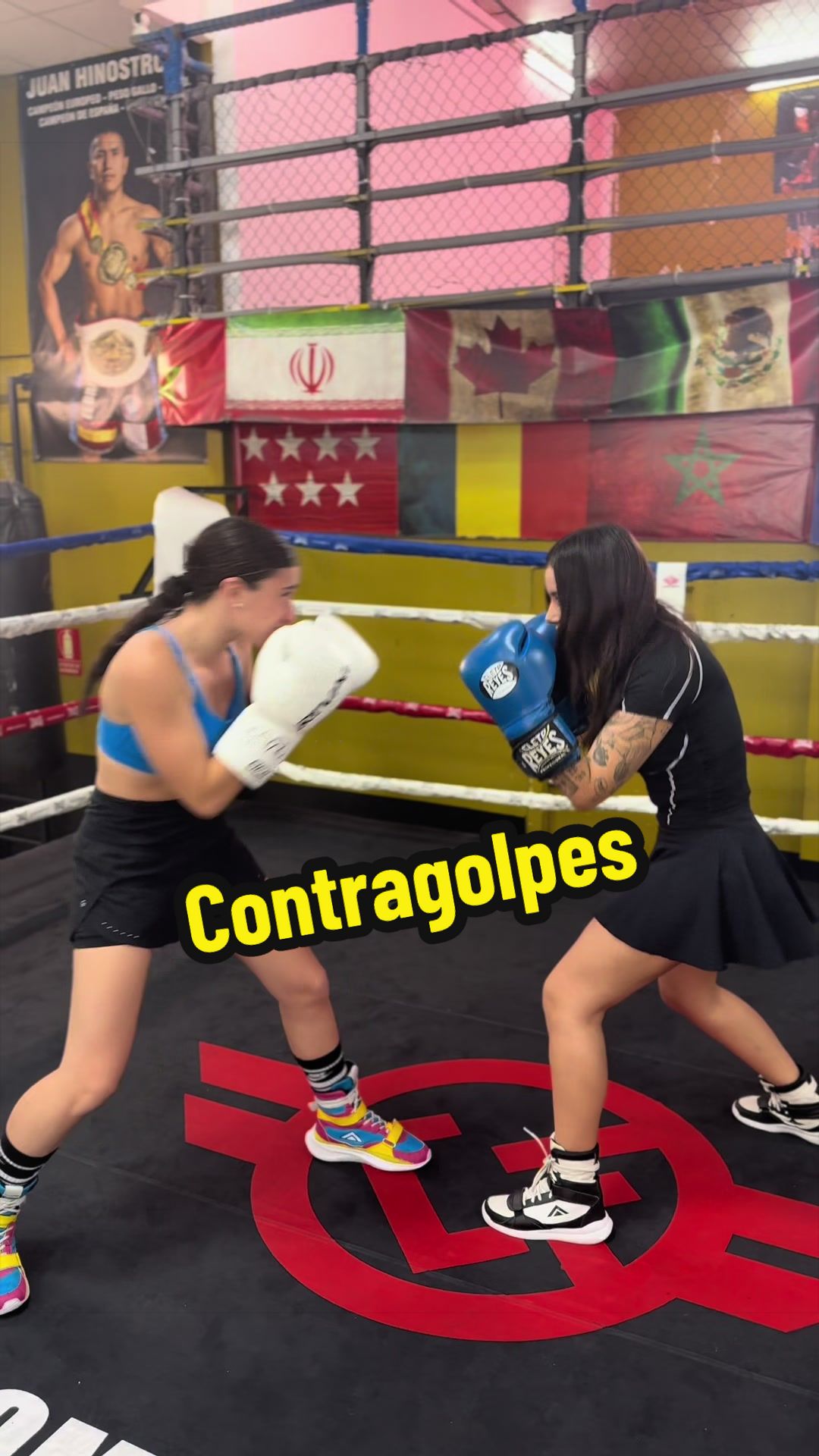 @Team Sánchez