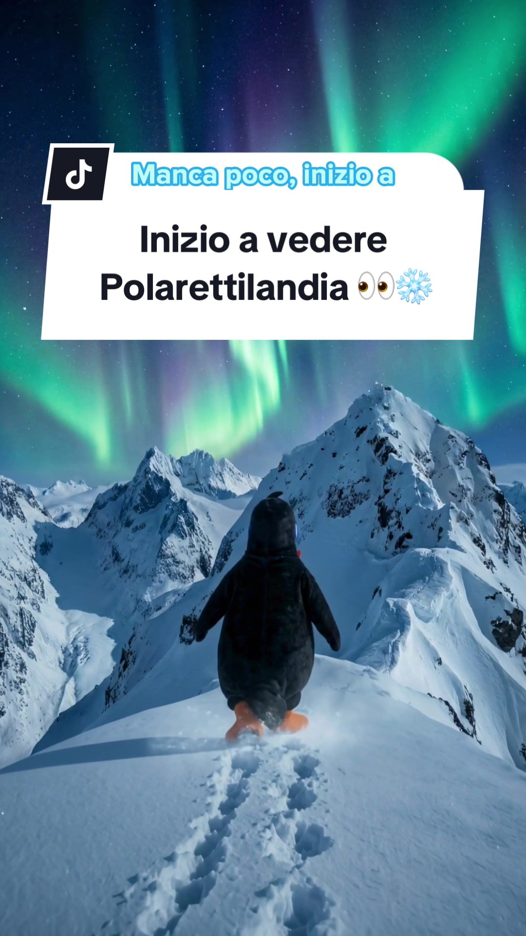 @Polaretti Dolfin