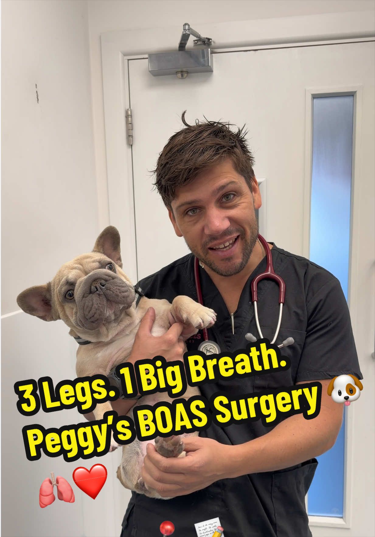 @Tomasthevet
