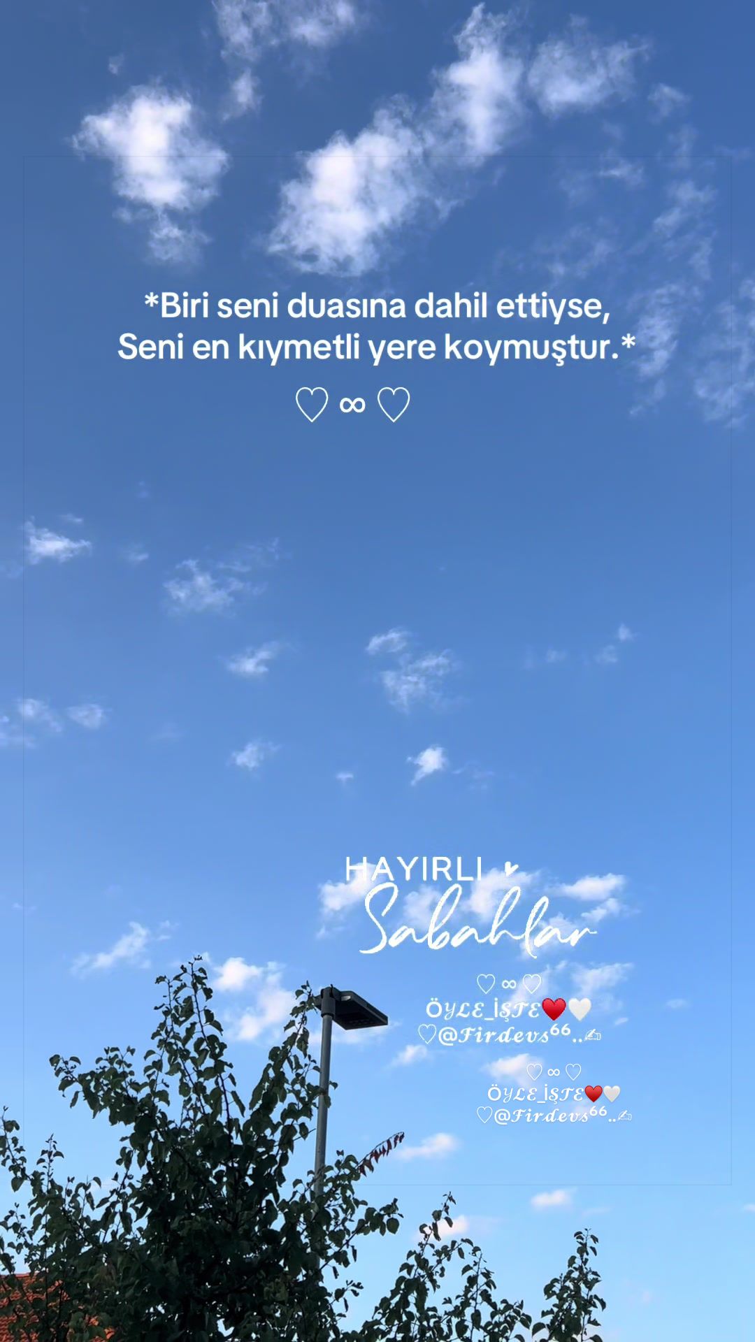 @Firdevs66