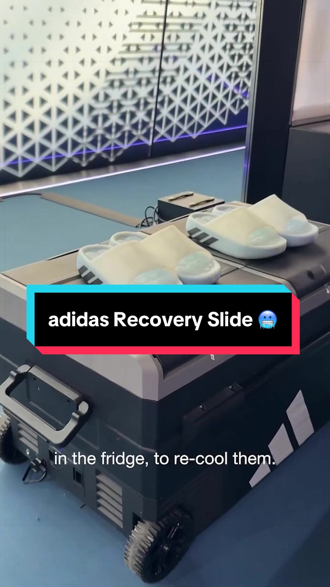 @Le Site de la Sneaker