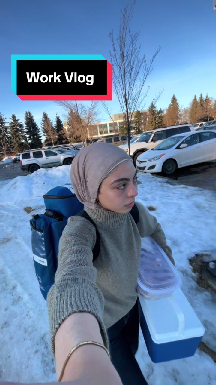 @fareedaelboraee
