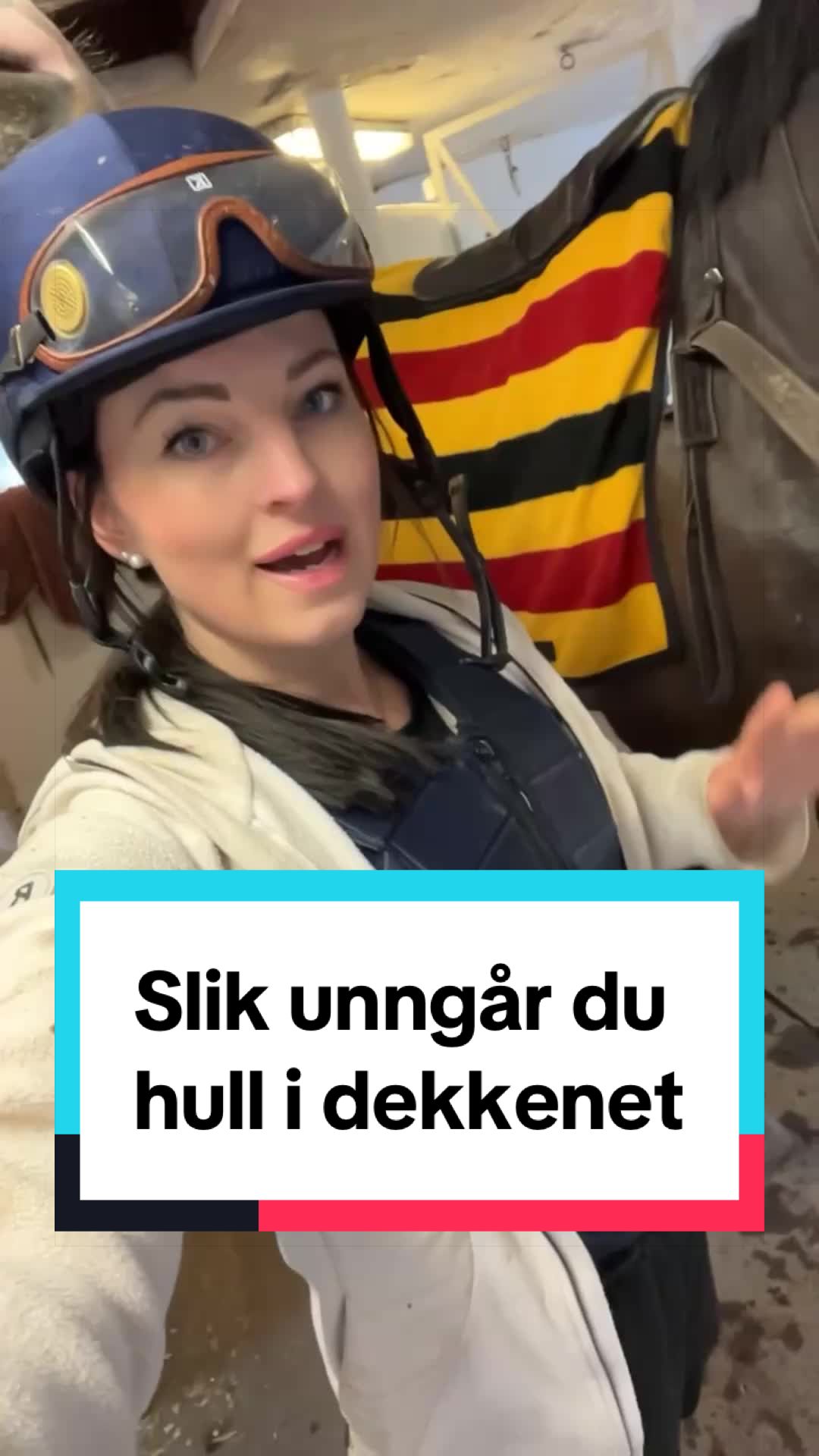 @dr.aya.vet