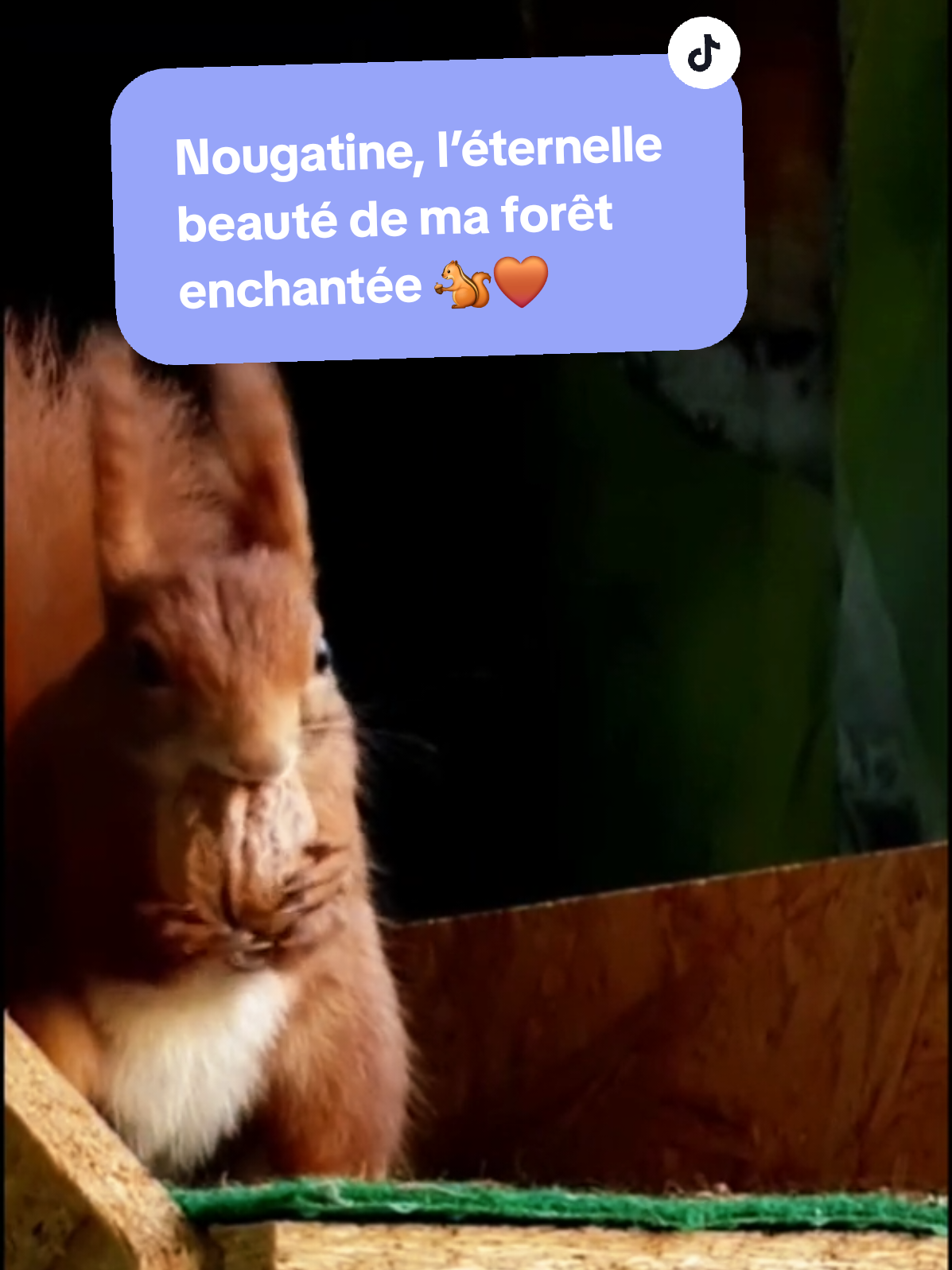 @NoémieRose26