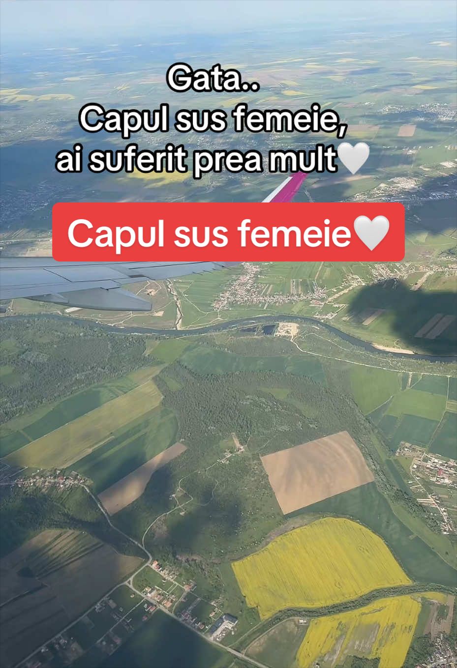 @Psalmii sufletului meu