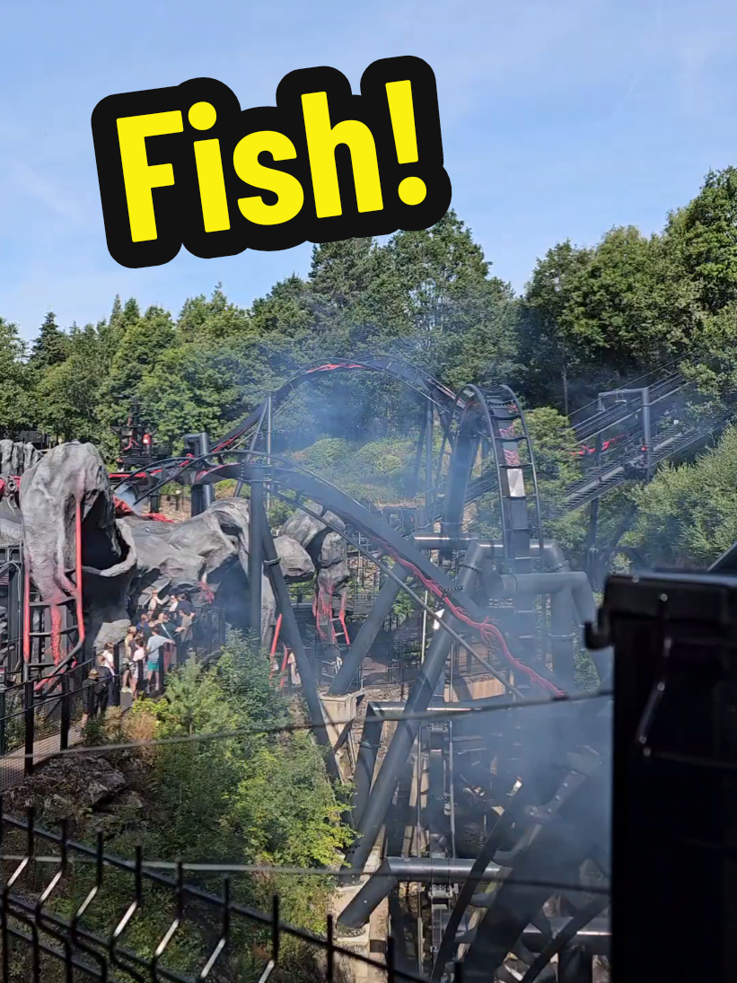 @Ride Comparisons