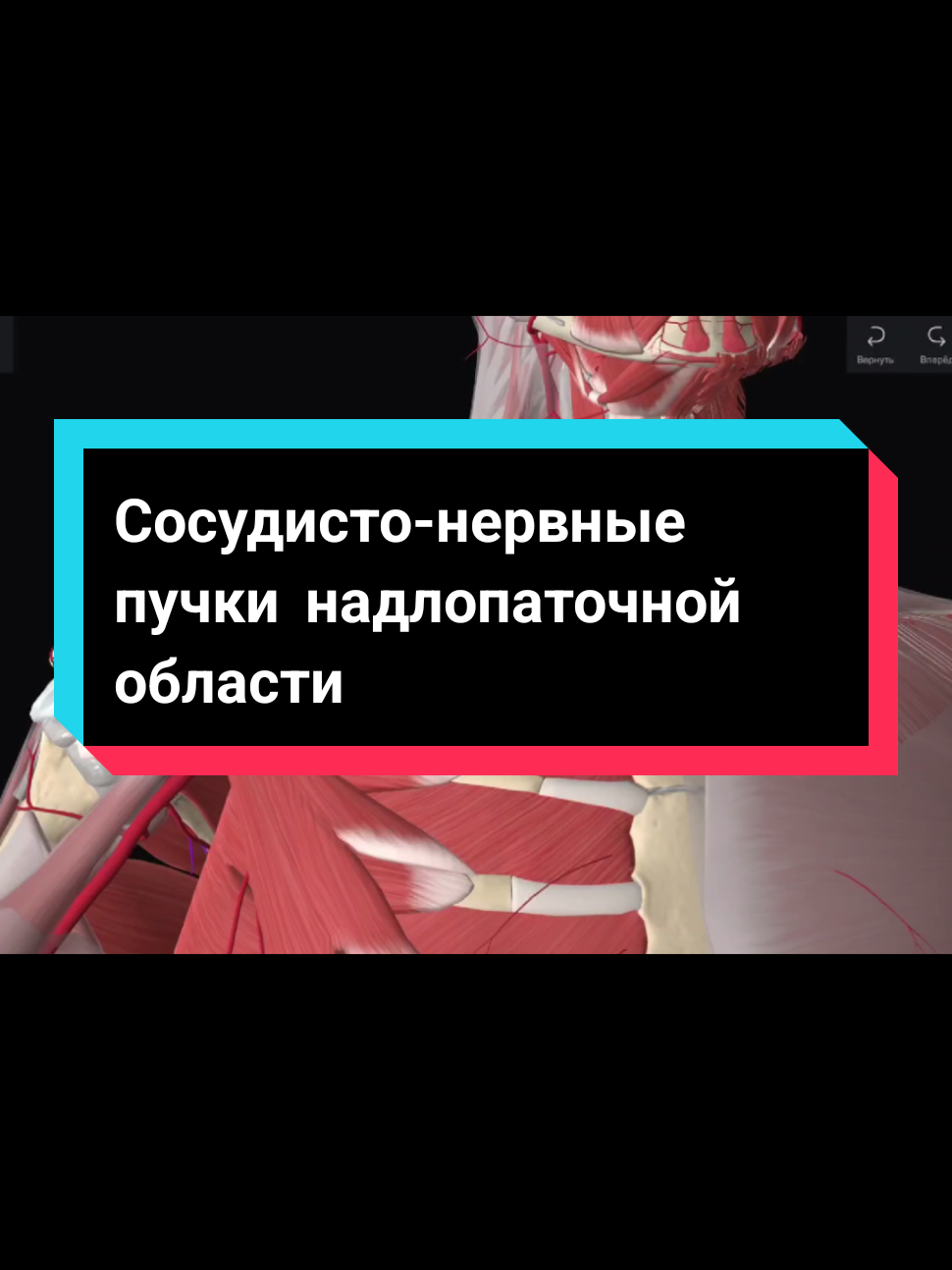 @DushaBolnicy💫