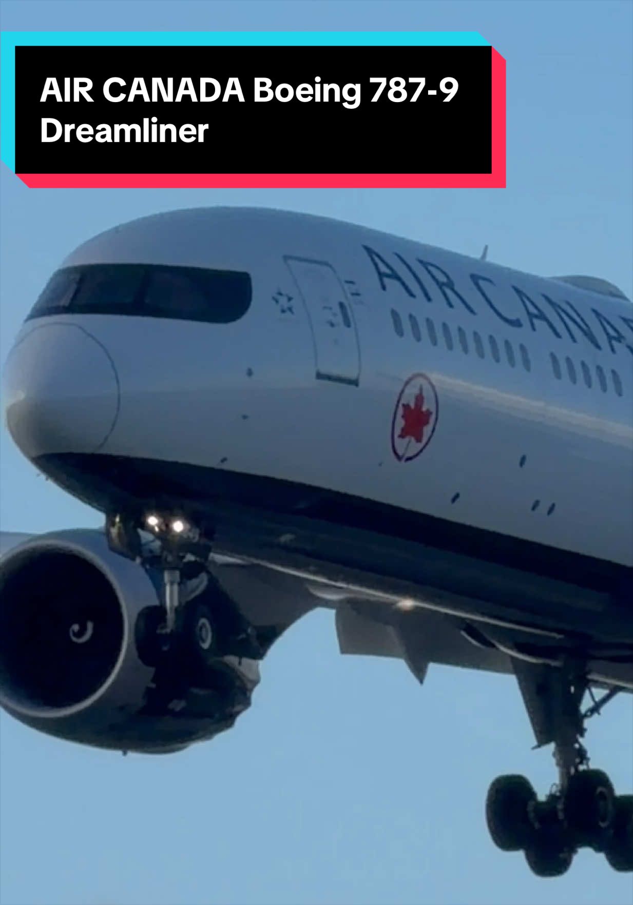 @AVIATION_YYZ_SPOTTER