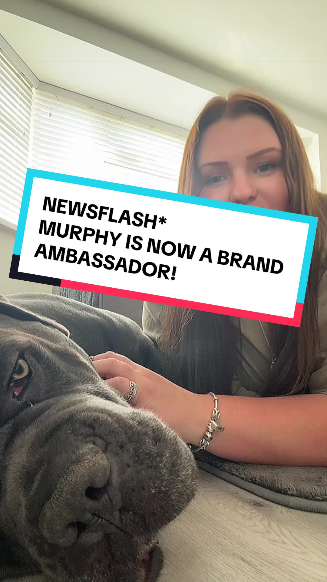 @murphy_the_cane_corso