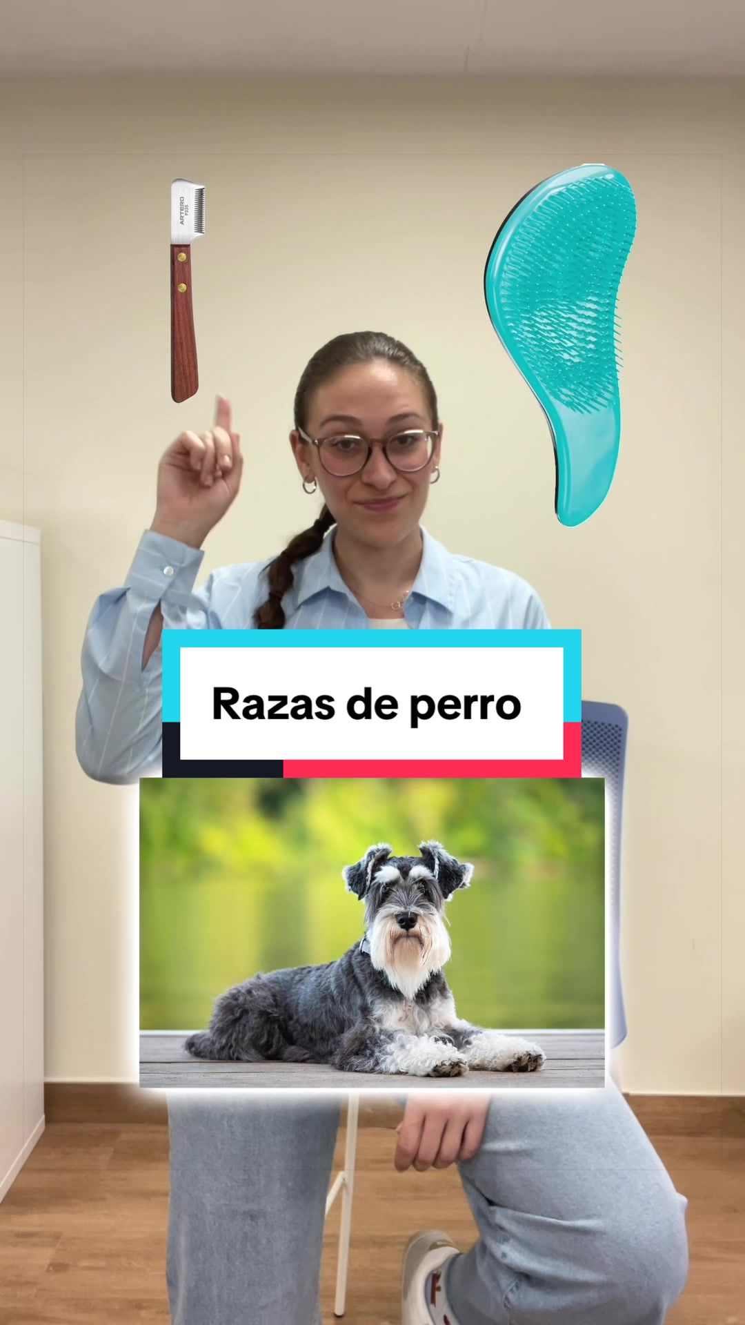 @Miscota &middot; Tienda para mascotas