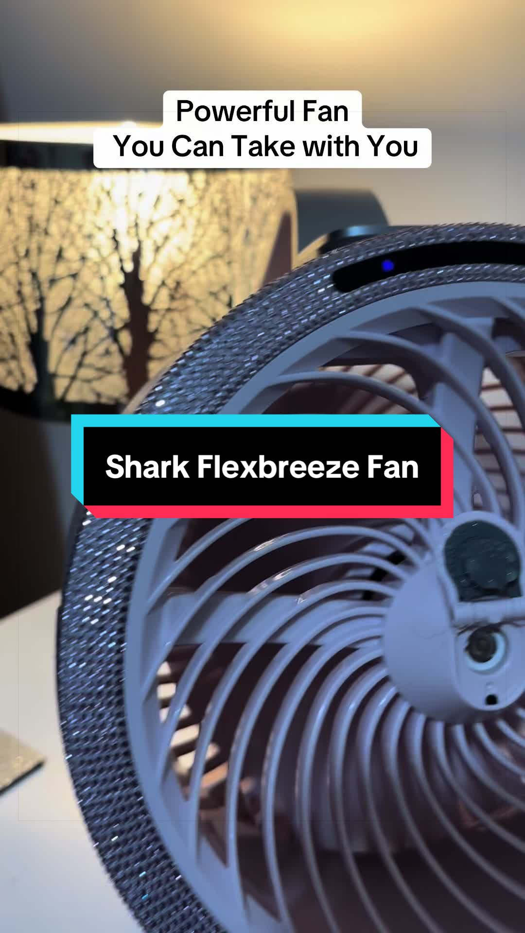 @DebsFinds