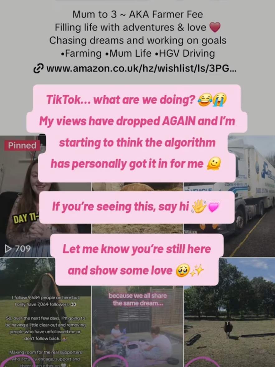 @mumma.ventures