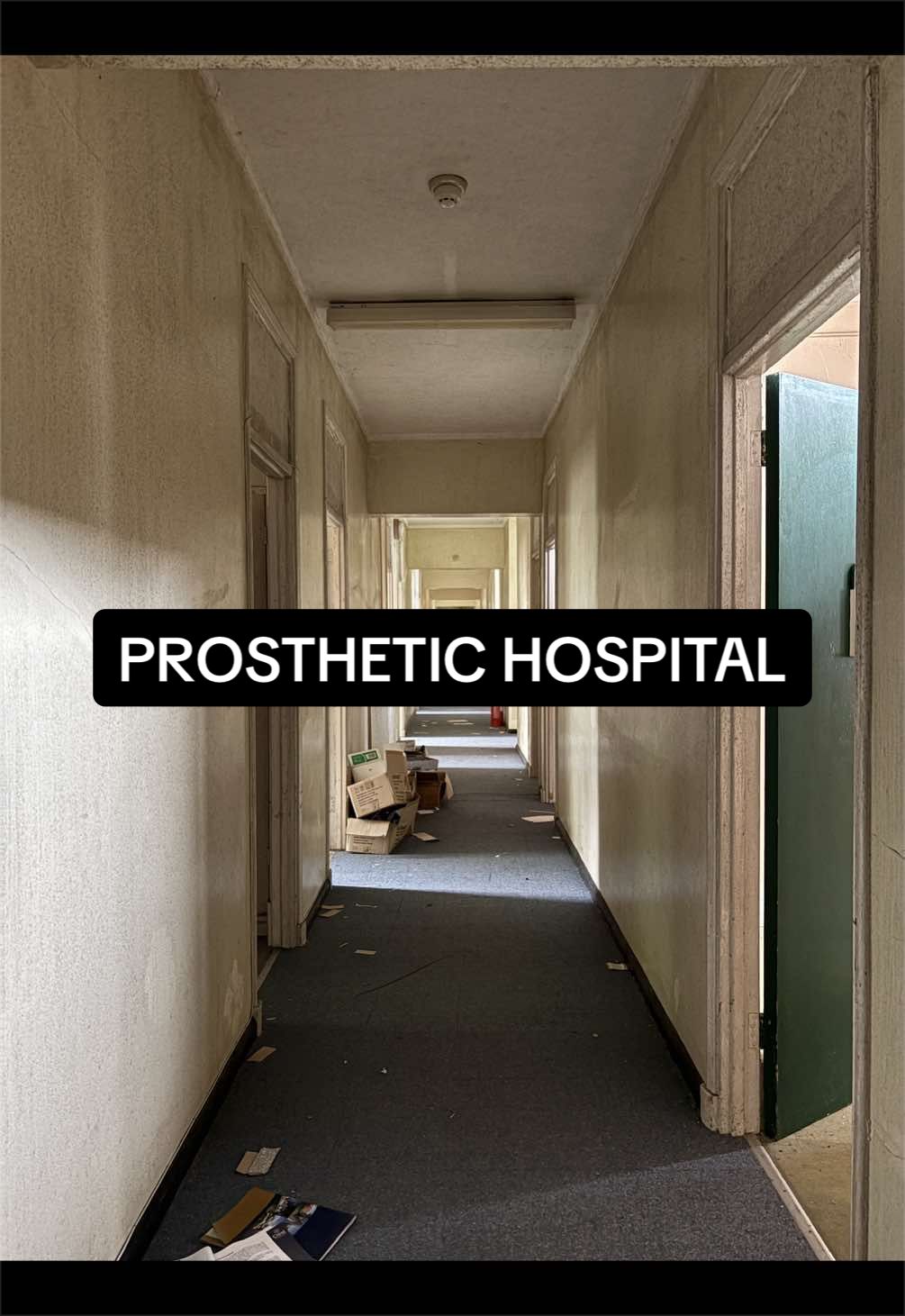 @EXPLORE ON INSTAGRAM seanurbex