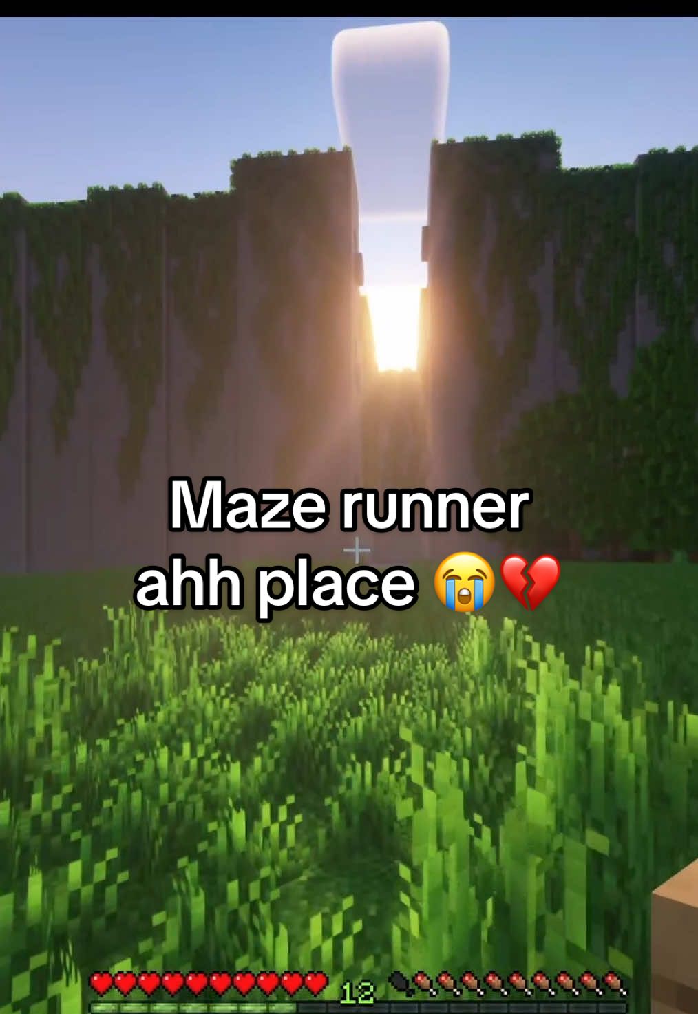 @Nausica