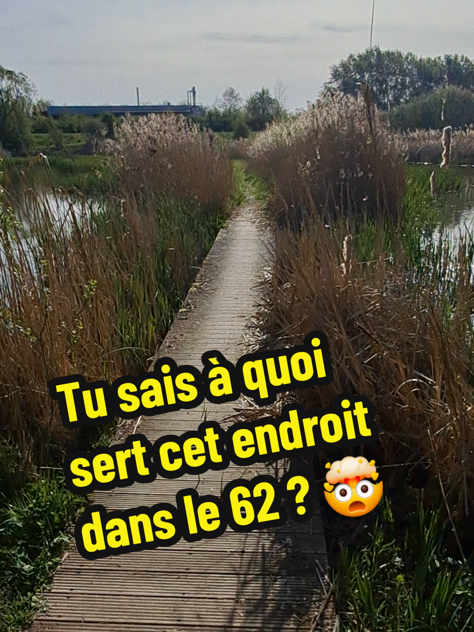 @Euchmath