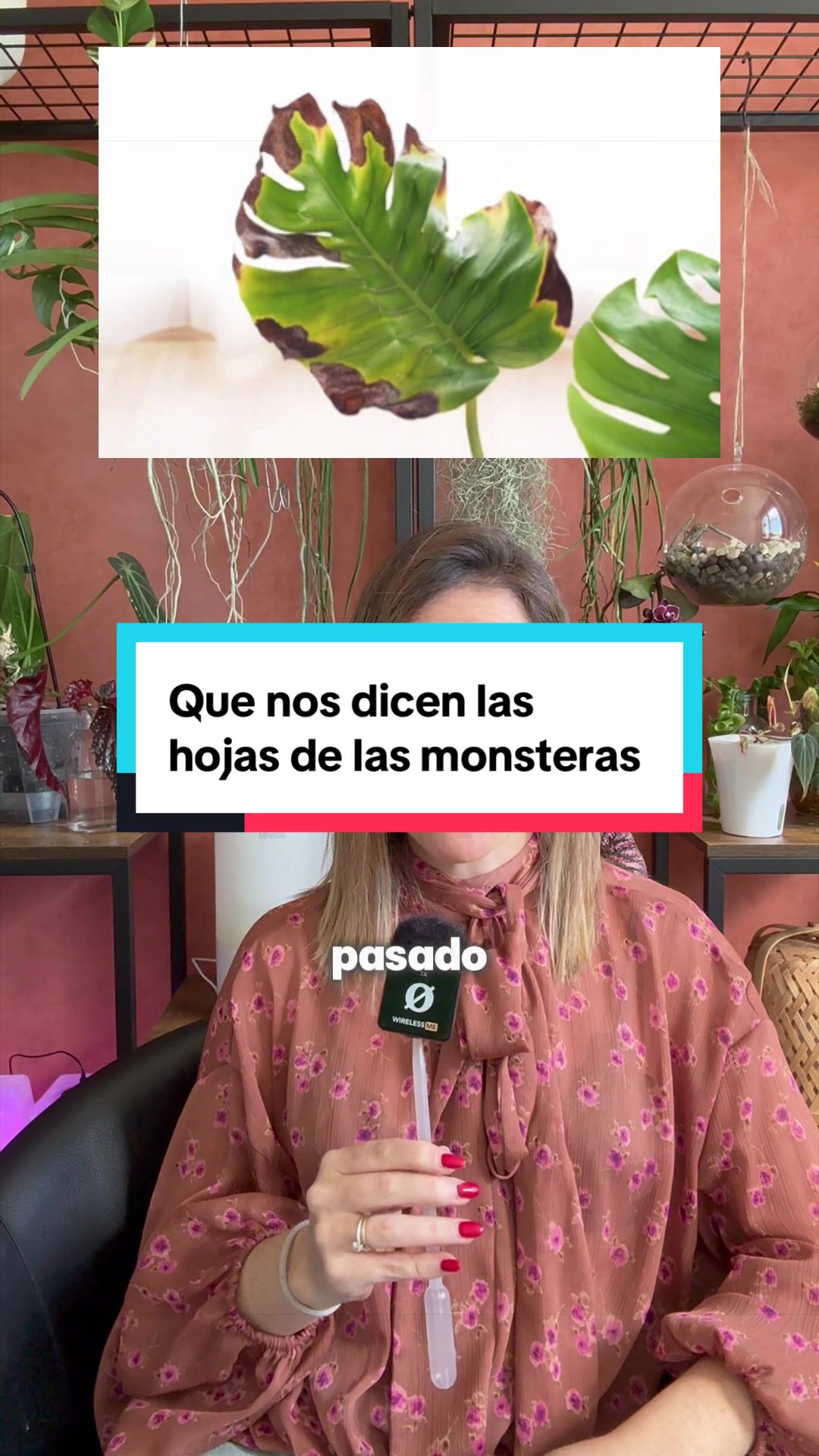 @🌱 En Abril Hojas Mil 🌱