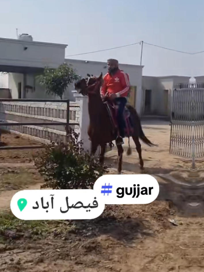 @🇬🇧shazgujar8#4🇵🇰