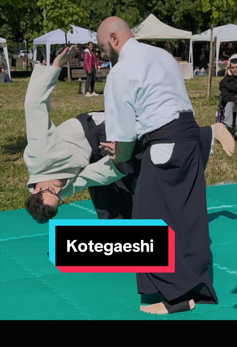 @AikiLuigi