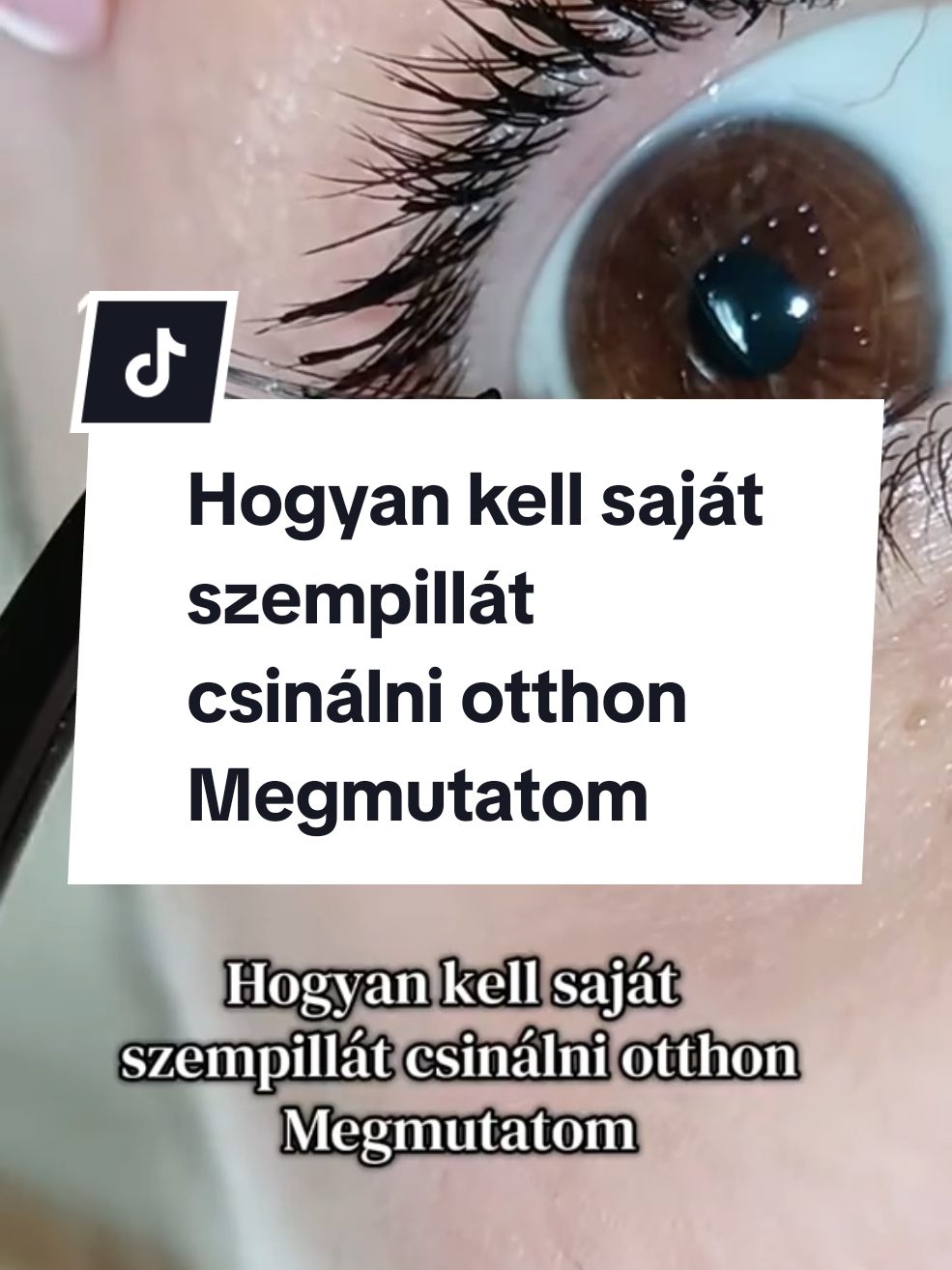 @LashMara 🦋