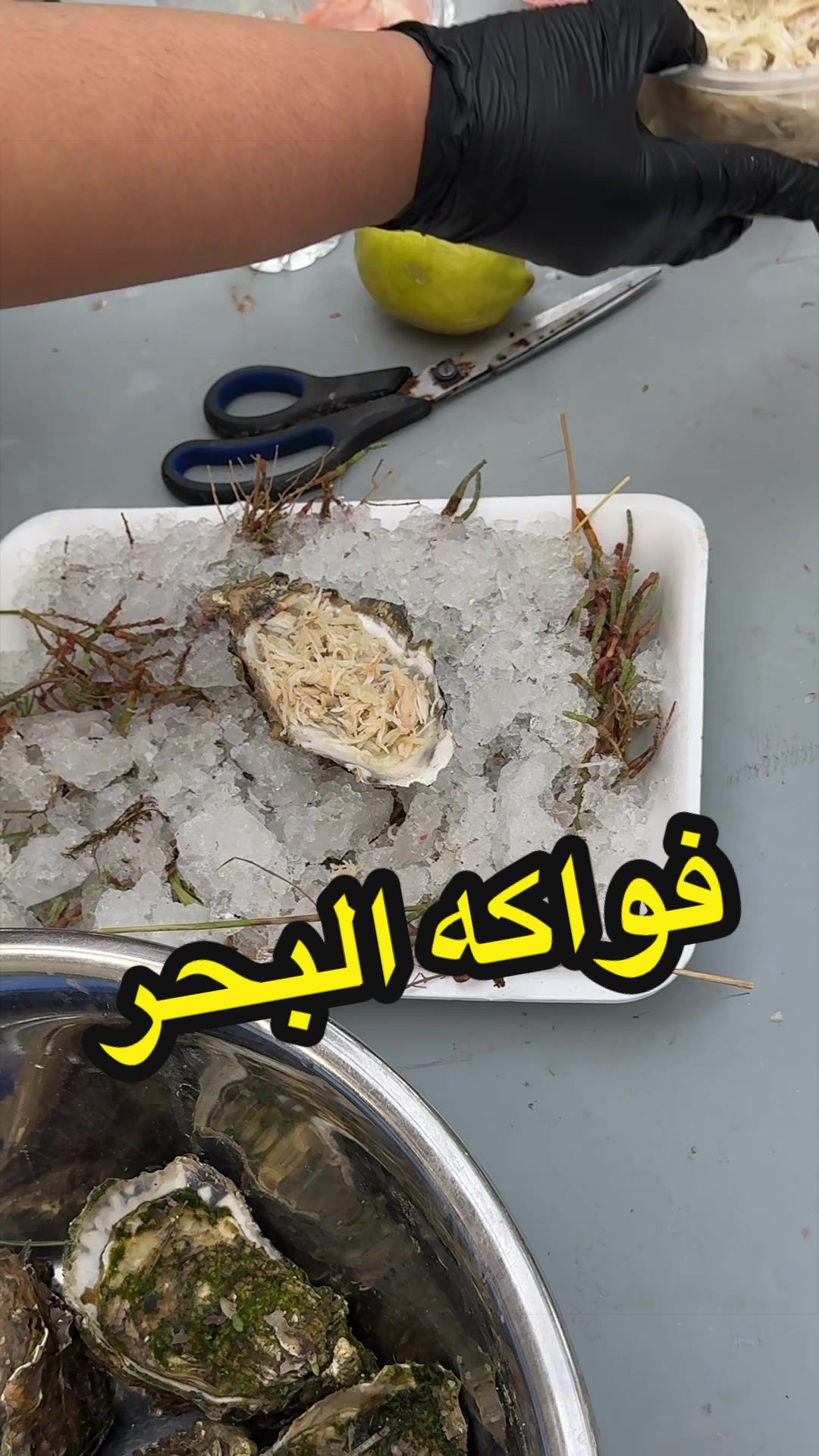 @Abdelkrim.khattabi