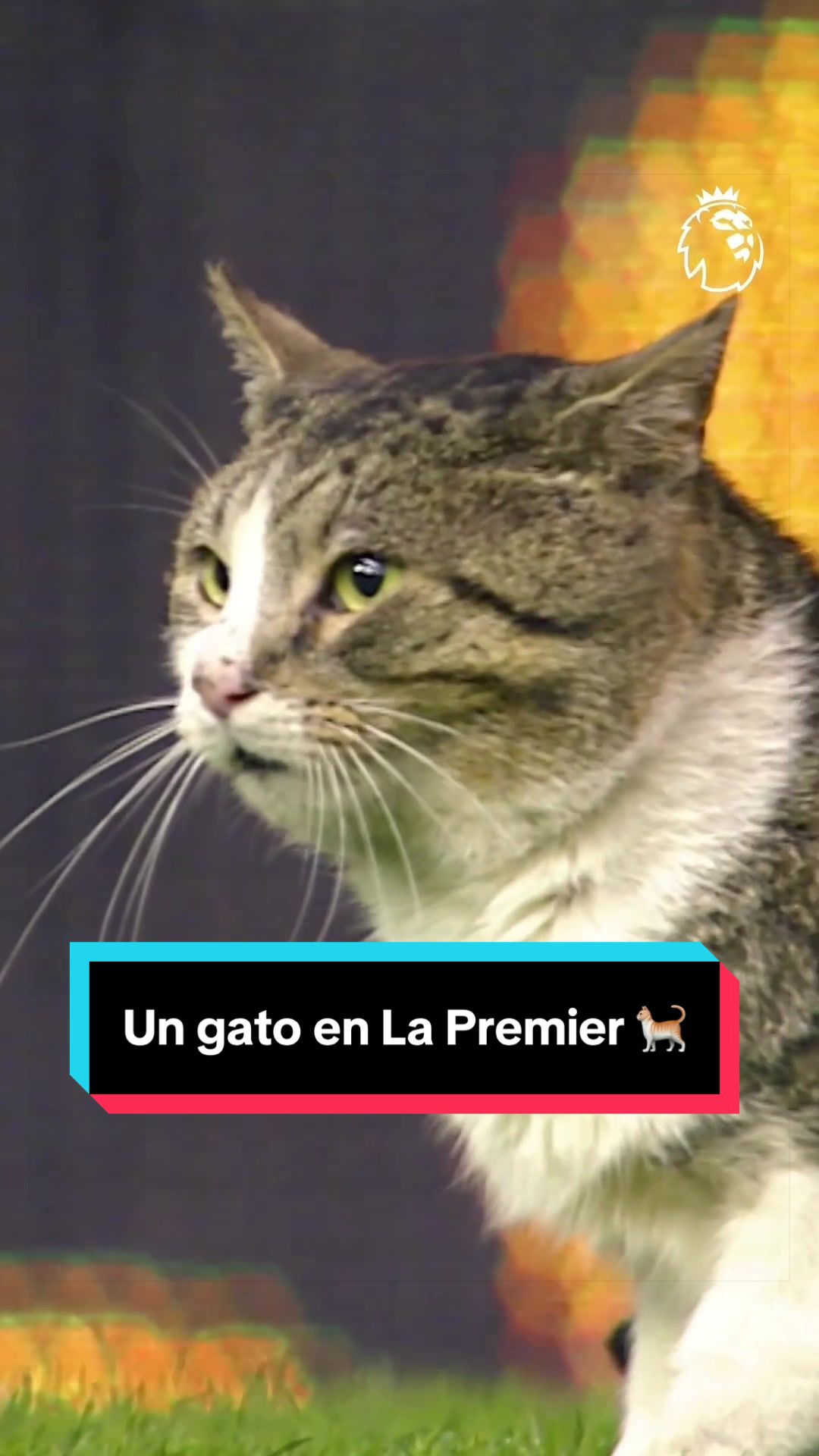 @La Premier